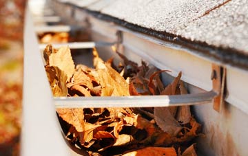 Mundham gutter cleaning companies